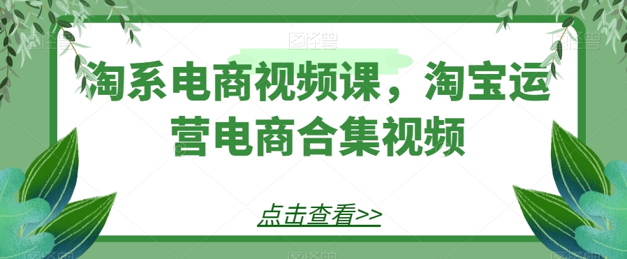 淘系电商视频课,淘宝运营电商合集视频(淘系电商视频课淘宝运营全攻略)-AIGC资源中心