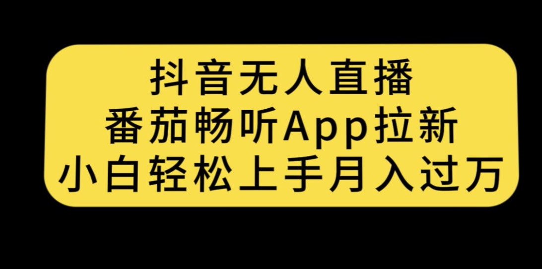 南掌柜-第17期打造淘系标品大爆款,5天线上课(深度解析淘系标品大爆款打造策略与日常维护技巧)-AIGC资源中心