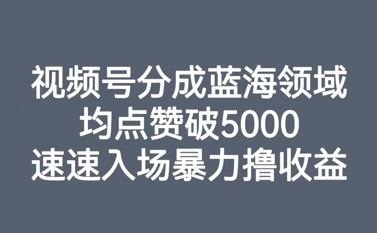 视频号分成蓝海领域,均点赞破5000,速速入场暴力撸收益(探索视频号分成蓝海领域,实现高收益的实操指南)-AIGC资源中心