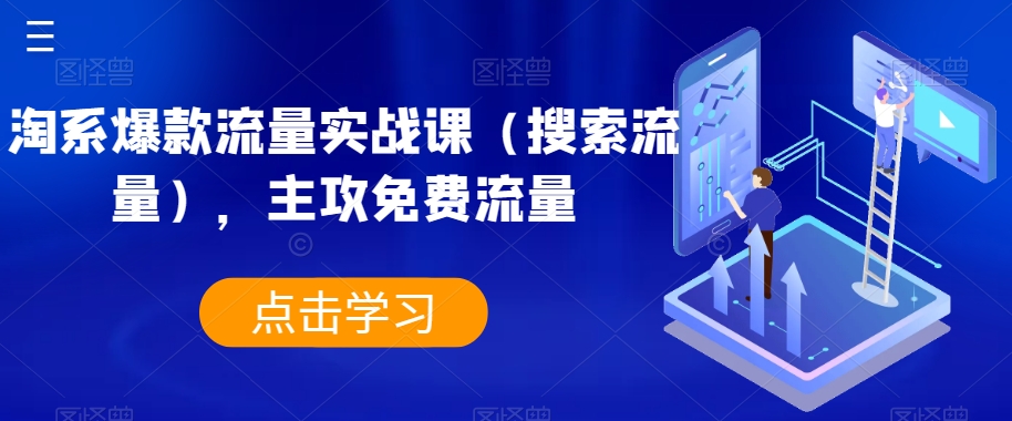 淘系爆款流量实战课（搜索流量）,主攻免费流量(淘系爆款流量实战课免费流量获取全攻略)-AIGC资源中心