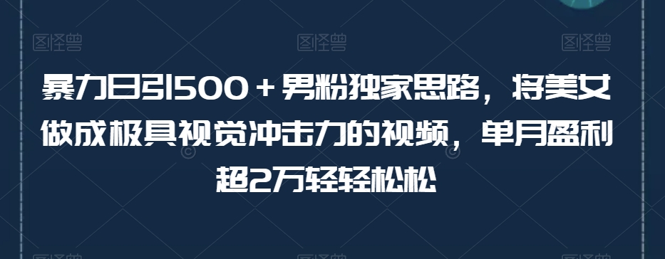 暴力日引500＋男粉独家思路,将美女做成极具视觉冲击力的视频,单月盈利超2万轻轻松松-AIGC资源中心