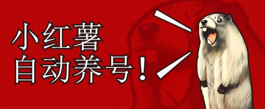 小红书养号秘籍,如何自动涨粉清晰系统标签打造高权重账号【揭秘】-AIGC资源中心