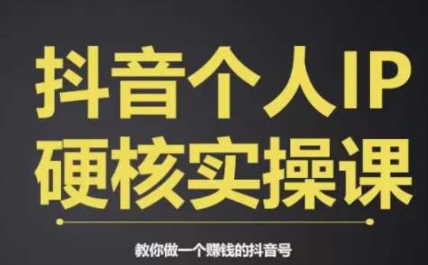 个人IP创富系统实战课,商业定位,流量打造,短视频变现,教你做个赚钱的抖音号(掌握抖音赚钱秘籍,打造个人IP实现财富增长)-AIGC资源中心