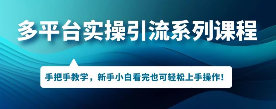 多平台引流实操系列课程,新手小白看完也可轻松上手进行引流操作(多平台引流实操系列课程,新手小白也能轻松上手)-AIGC资源中心