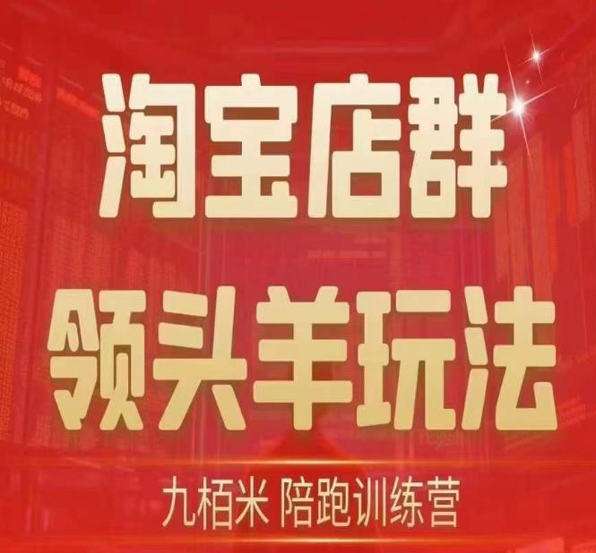 九栢米-淘宝店群领头羊玩法,教你整个淘宝店群领头羊玩法以及精细化终极蓝海尾销等内容(淘宝店群领头羊玩法全解析)-AIGC资源中心