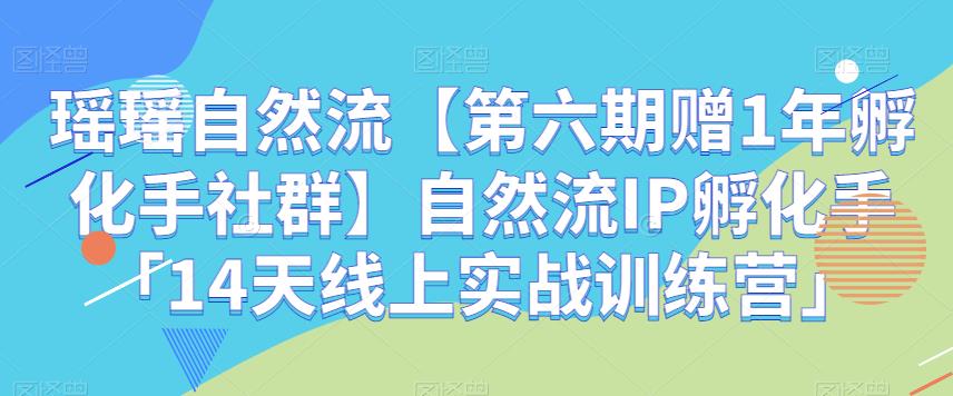 瑶瑶自然流【第六期赠1年孵化手社群】自然流IP孵化手「14天线上实战训练营」(实战经验分享,助力短视频创作之路。)-AIGC资源中心