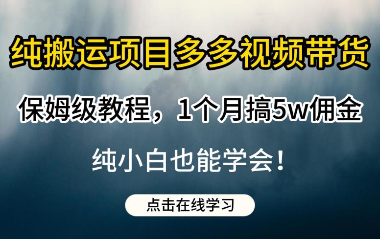 纯搬运项目多多视频带货保姆级教程,1个月搞5w佣金,纯小白也能学会【揭秘】(无技术门槛!纯搬运项目多多视频带货教程助你轻松赚取5万佣金)-AIGC资源中心