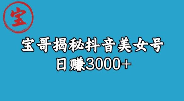 宝哥揭秘抖音美女号玩法,日赚3000+【揭秘】-AIGC资源中心