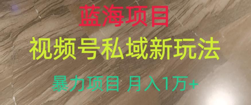 蓝海项目,视频号私域新玩法,暴力项目月入1万+【揭秘】(揭秘视频号私域新玩法蓝海项目月入1万+)-AIGC资源中心