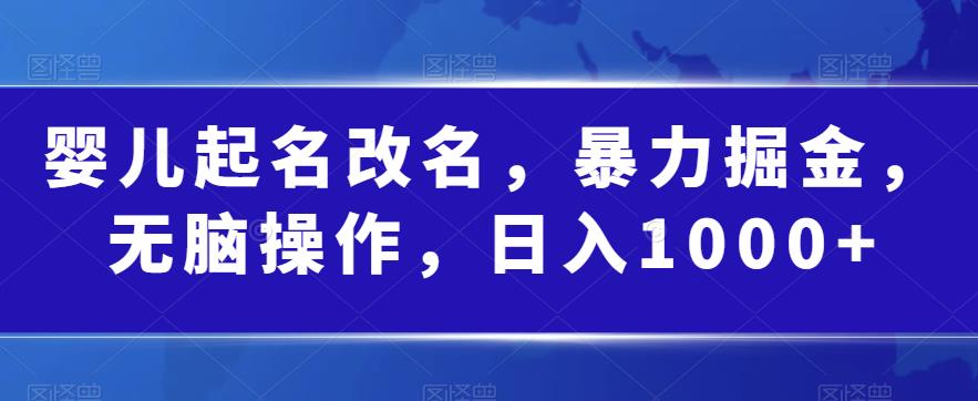 婴儿起名改名,暴力掘金,无脑操作,日入1000+【揭秘】(深度解析”婴儿起名改名”项目的操作流程与收益情况)-AIGC资源中心
