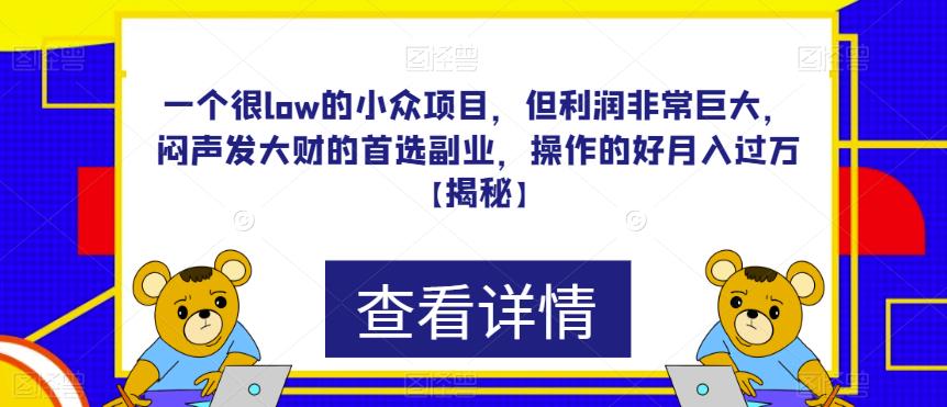 一个很low的小众项目,但利润非常巨大,闷声发大财的首选副业,操作的好月入过万【揭秘】(揭秘一个低门槛高收益的小众项目,如何轻松实现月入过万？)-AIGC资源中心