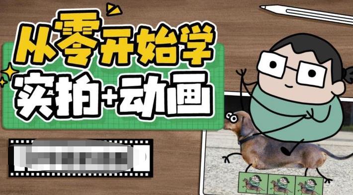 从零开始学实拍加动画,实拍加动画创意教程(全面掌握实拍加动画技术,打造生动有趣的视频作品)-AIGC资源中心
