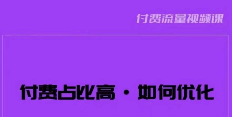 波波-付费占比高,如何优化？只讲方法,不说废话,高效解决问题!(深入解析付费占比高的问题及优化策略)-AIGC资源中心