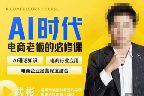 玺承·AI时代,电商老板的必修课,理论+实操+工具,驱动电商销售转化(掌握AI技术,驱动电商销售转化)-AIGC资源中心