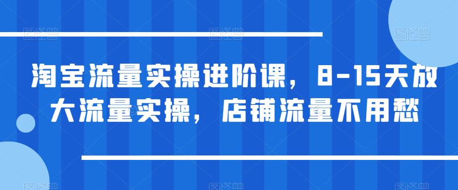 淘宝流量实操进阶课,8-15天放大流量实操,店铺流量不用愁(淘宝流量实操进阶课8-15天实现店铺流量翻倍增长)-AIGC资源中心