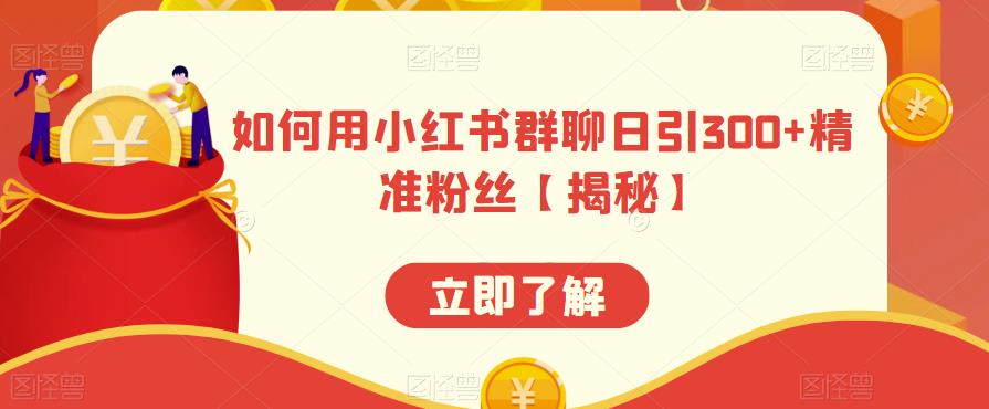 如何用小红书群聊日引300+精准粉丝【揭秘】(揭秘小红书群聊引流策略)-AIGC资源中心