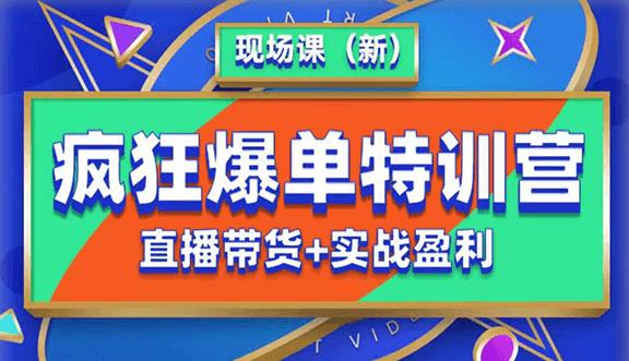 抖音短视频疯狂爆单特训营现场课（新）直播带货+实战案例(抖音短视频疯狂爆单特训营全方位提升直播带货技能)-AIGC资源中心