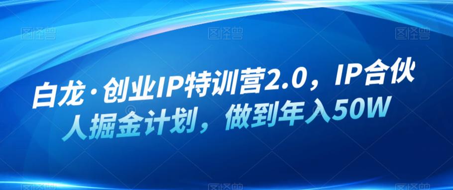白龙·创业IP特训营2.0,IP合伙人掘金计划,做到年入50W(白龙·创业IP特训营2.0打造年入50W+的创业IP之路)-AIGC资源中心