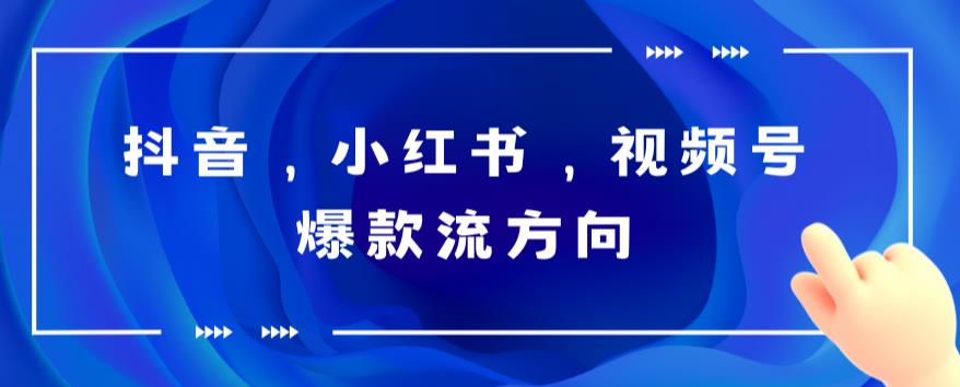 抖音,小红书,视频号爆款流视频制作,简单制作掌握流量密码(掌握流量密码,轻松制作爆款视频)-AIGC资源中心