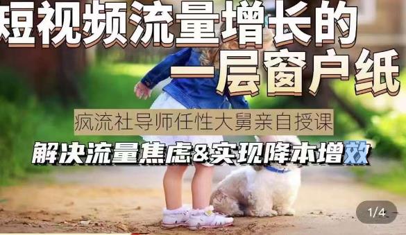 任性大舅·宠物行业短视频运营课(不讲废话),短视频流量增长的一层窗户纸,解决流量焦虑&实现降本增效(深度解析宠物行业短视频运营掌握流量增长逻辑与降本增效策略)-AIGC资源中心