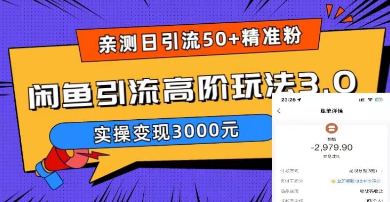 亲测日引50+精准粉,闲鱼引流高阶玩法3.0,实操变现3000元【揭秘】(揭秘闲鱼引流高阶玩法,实操变现3000元)-AIGC资源中心