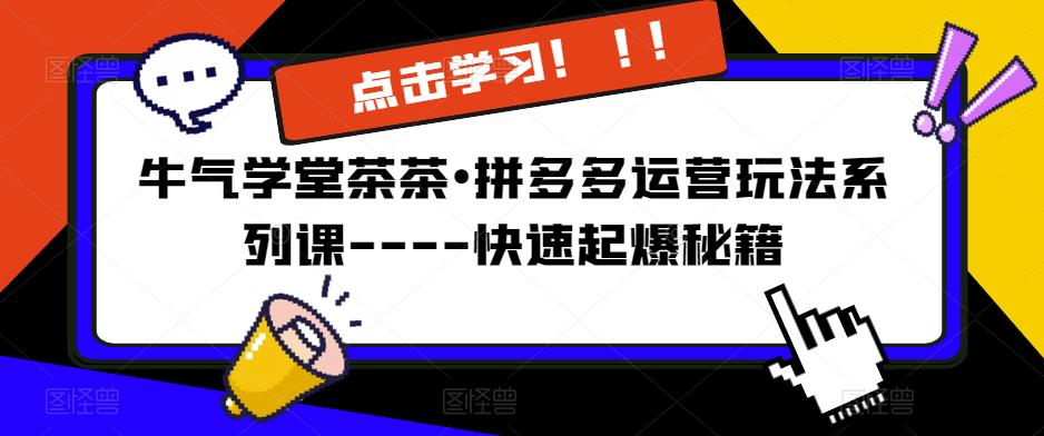 牛气学堂茶茶•拼多多运营玩法系列课—-快速起爆秘籍(深入解析拼多多运营秘籍,助力商家快速起爆)-AIGC资源中心