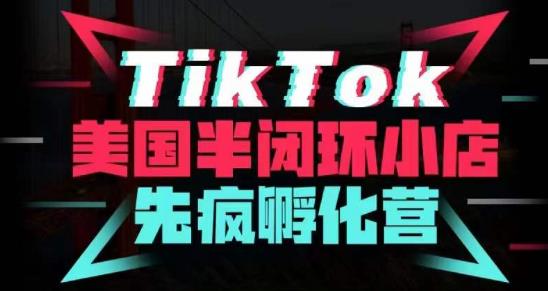 疯人院·TikTok美国半闭环小店孵化营,抢占TikTok美国蓝海市场,开店、运营、带货、投流全实操(疯人院·TikTok美国半闭环小店孵化营全方位掌握TikTok美国市场攻略)-AIGC资源中心