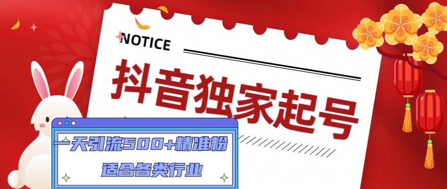抖音独家起号,一天引流500+精准粉,适合各类行业（9节视频课）(全面掌握抖音运营技巧,打造高权重账号)-AIGC资源中心