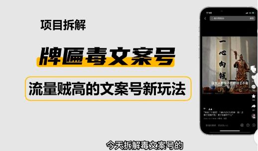 2023抖音快手毒文案新玩法,牌匾文案号,起号快易变现(探索2023抖音快手毒文案新玩法牌匾文案号的快速起号与变现策略)-AIGC资源中心