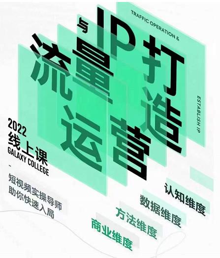 大蓝流量运营&个人ip打造课,短视频带货爆款文案流量运营直播入门镜头变现流量商业(大蓝流量运营&个人IP打造课程掌握直播与短视频运营的全面技巧)-AIGC资源中心
