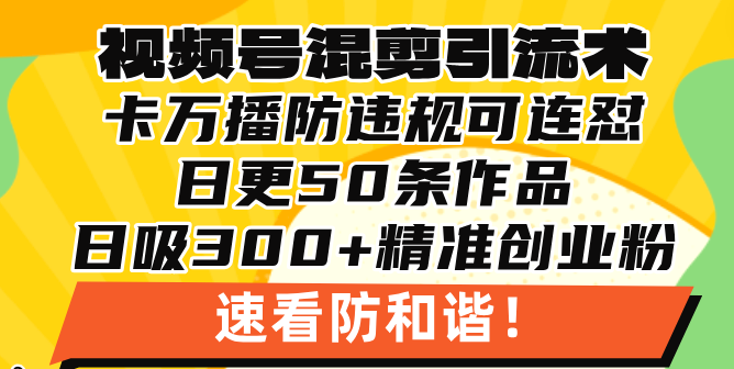 视频号混剪引流技术,500万播放引流17000创业粉,操作简单当天学会-AIGC资源中心