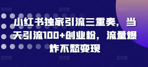 小红书独家引流三重奏,当天引流100+创业粉,流量爆炸不愁变现-AIGC资源中心
