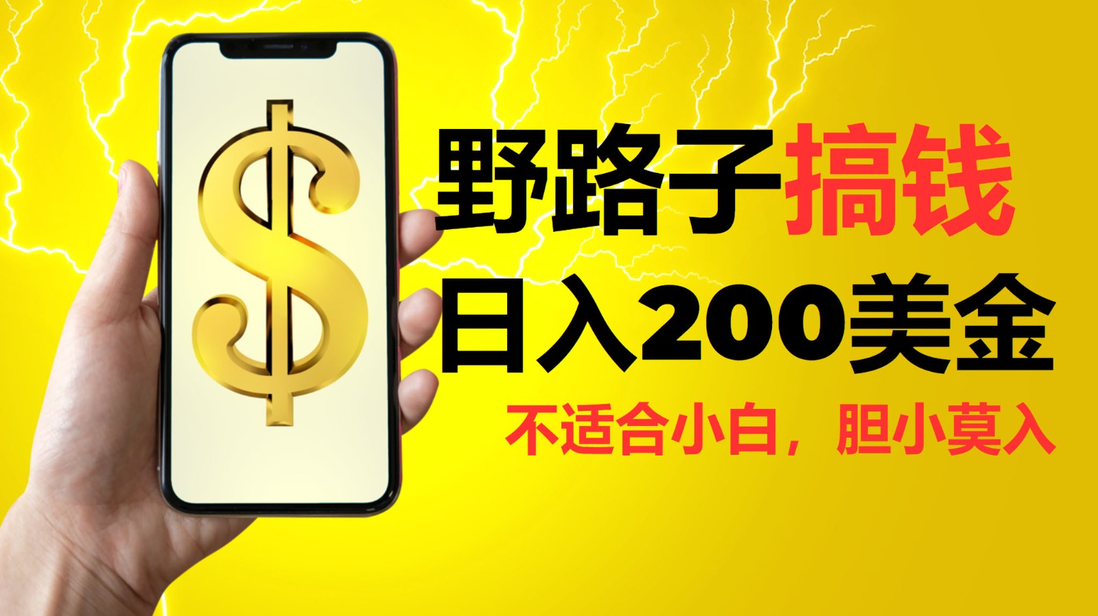 挂机野路子搞钱,日入200美金,路子很野,小白莫入-AIGC资源中心