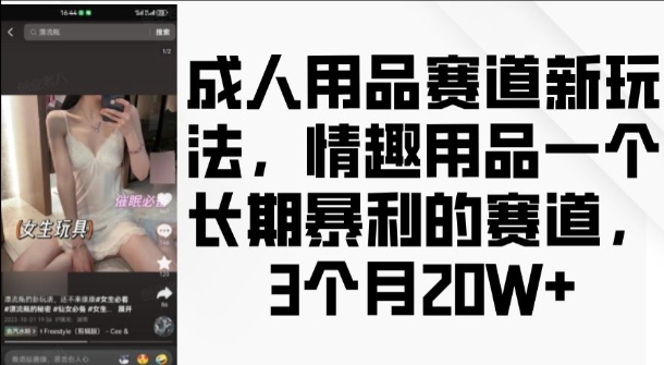 成人用品赛道新玩法,情趣用品一个长期暴利的赛道,3个月收益20个-AIGC资源中心