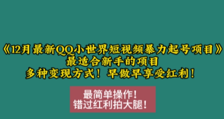 12月最新QQ小世界短视频暴力起号项目,最适合新手的项目,多种变现方式-AIGC资源中心