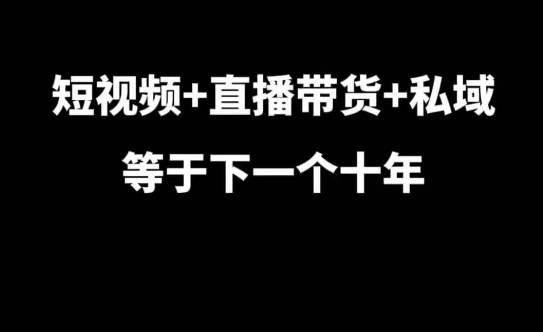 短视频+直播带货+私域等于下一个十年,大佬7年实战经验总结-AIGC资源中心