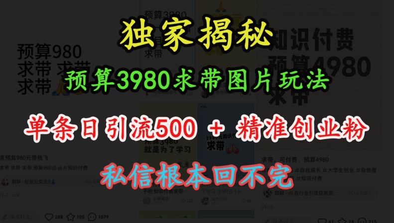 预算3980求带图片玩法,单条日引流500+精准创业粉,私信根本回不完-AIGC资源中心