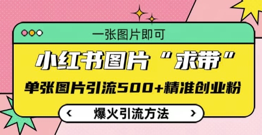 小红书图片‘求带’爆火引流法,单张图片引流500+精准创业粉-AIGC资源中心